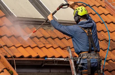 Démoussage et hydrofuge de toiture à Albon